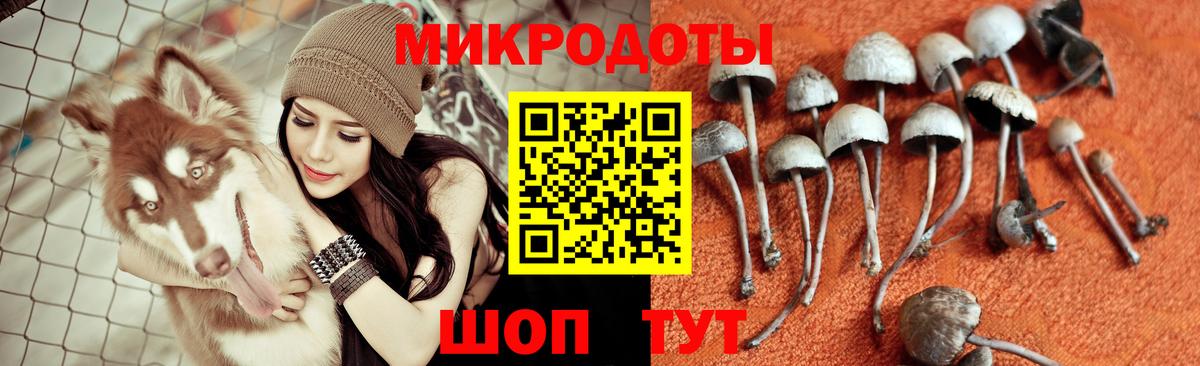 Галлюциногенные грибы ЛСД Алапаевск